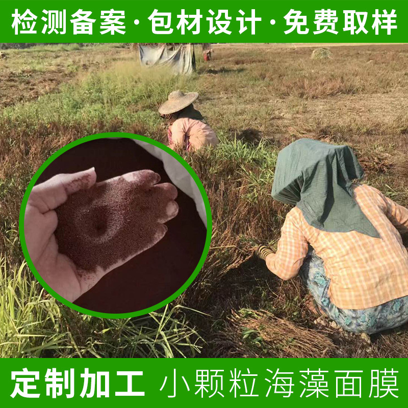 11216752634_906253645